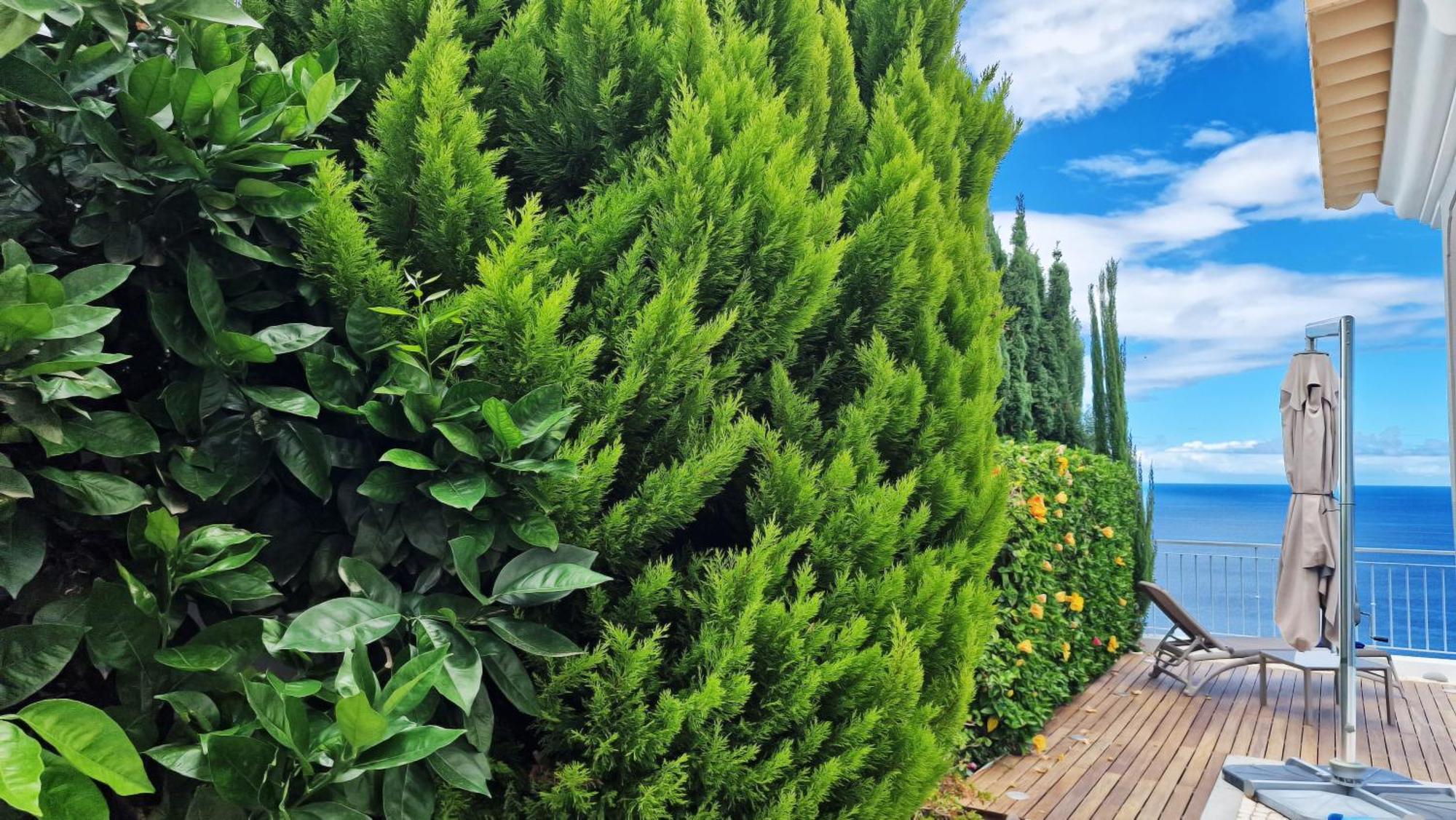 Villa Valentina By Lovelystay Ponta do Sol  Dış mekan fotoğraf